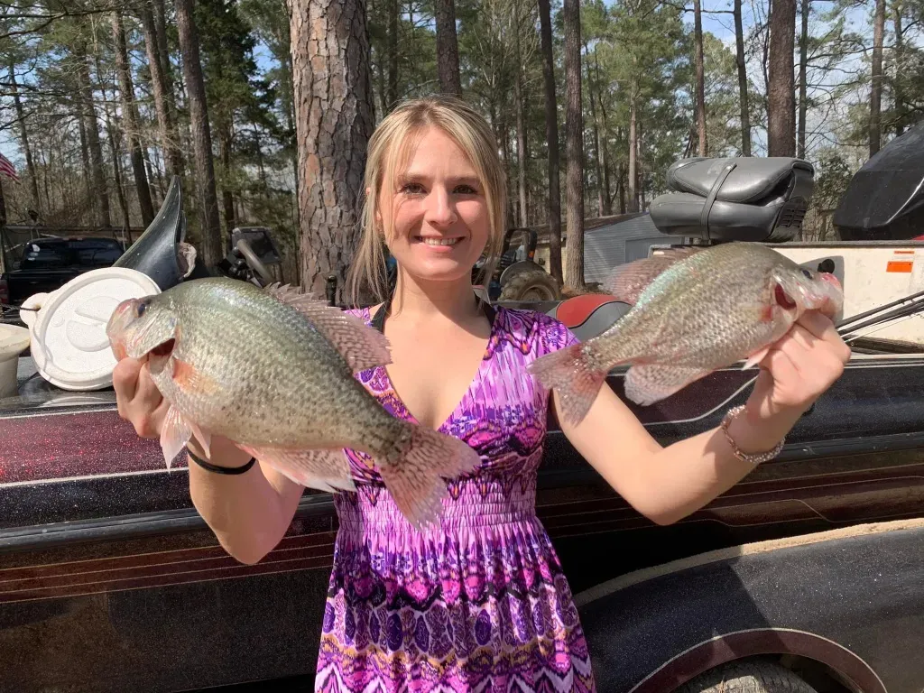 Bluegill Fishing for Beginners: Easy Techniques That Actually Work